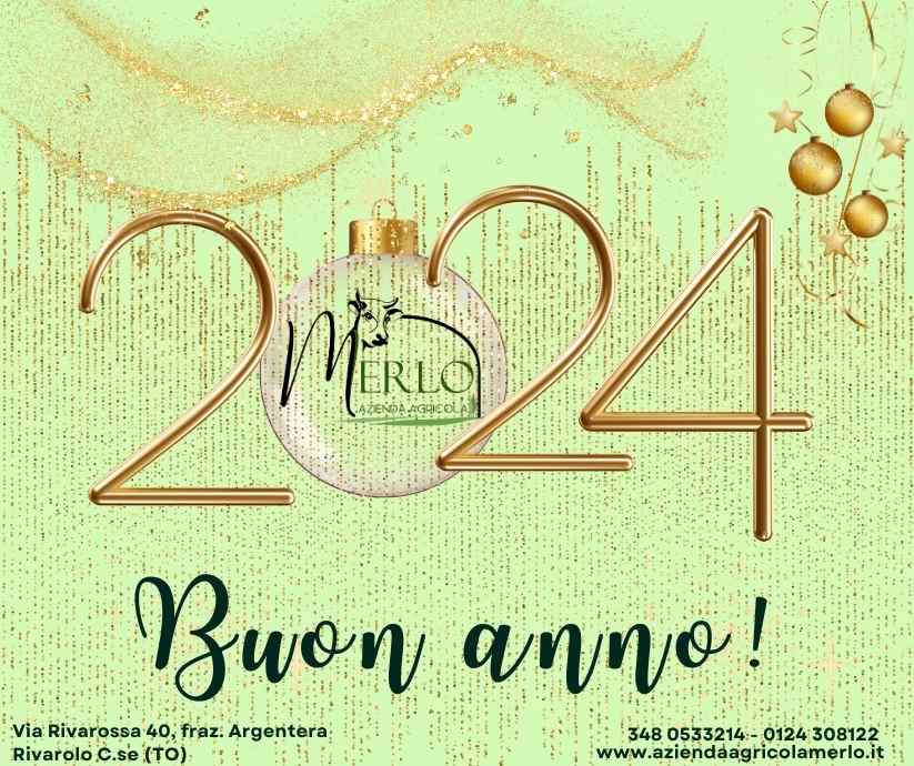 buon anno 2023 Merlo sito